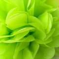 ぶら下げティッシュ ポンポン シトラス グリーン ・ パーティの装飾のための花の紙