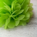 ぶら下げティッシュ ポンポン シトラス グリーン ・ パーティの装飾のための花の紙